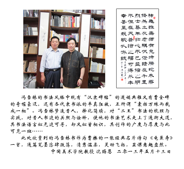 中國(guó)美術(shù)學(xué)院沈賜恩教授評(píng)價(jià)馮雪林書(shū)法