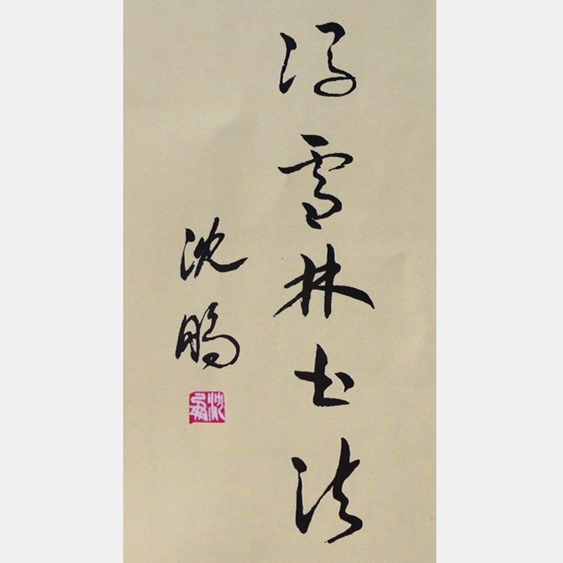 中國書法書法家協會主席沈鵬為馮雪林題詞