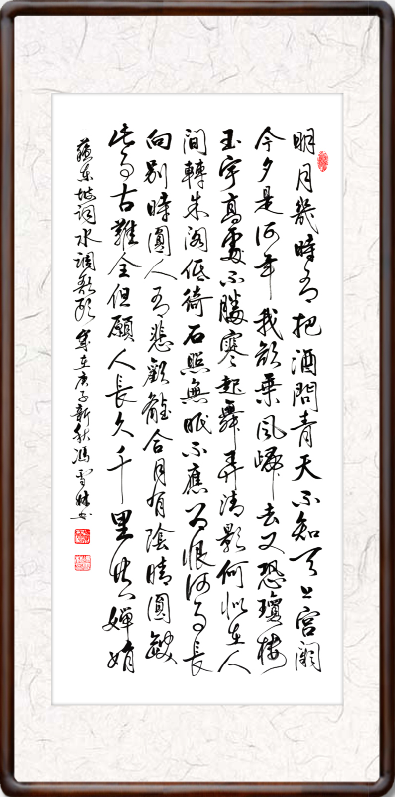 水調(diào)歌頭明月幾時有行書作品